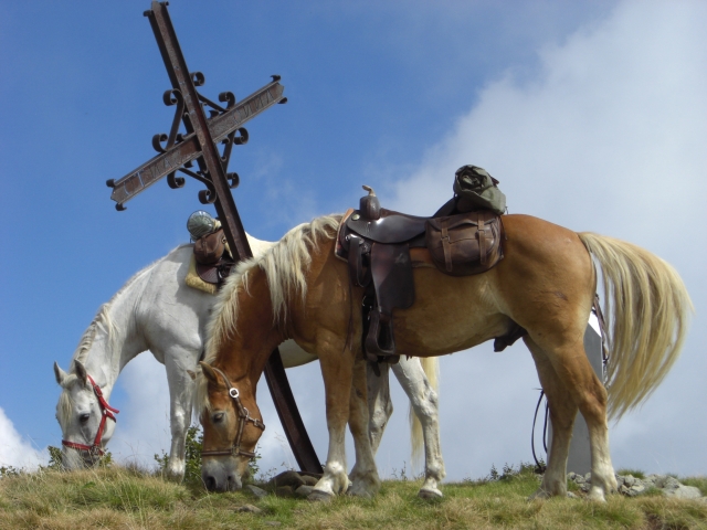 Percorsi equestri impegnativi Liguria